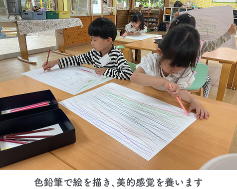 色鉛筆で絵を描き、美的感覚を養います